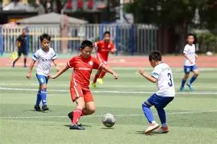 姚明为何沦,为时代替罪,半岛体育,半岛体育,半岛体育平台,半岛体育官网