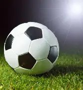 贵阳京学实,验学校,名游泳健将,半岛体育,半岛体育平台,半岛体育官网