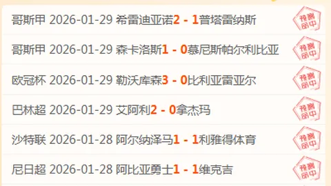 格雷茨卡：足球生涯关键角色，助力俱乐部与国家队辉煌